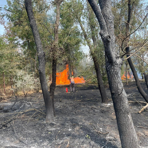 Incendiul din pădurea Stejaru continuă să creeze probleme