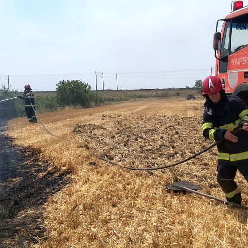 Incendiu de vegetație la marginea municipiului Brăila