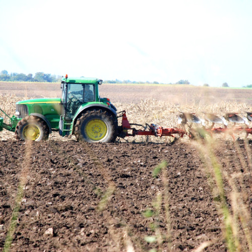 Ploile aduc speranță fermierilor din Brăila după un an agricol greu