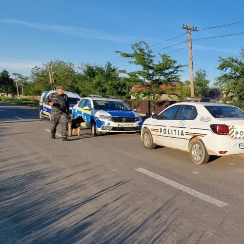 Doi tineri din Ulmu, prinși conducând scutere fără permis