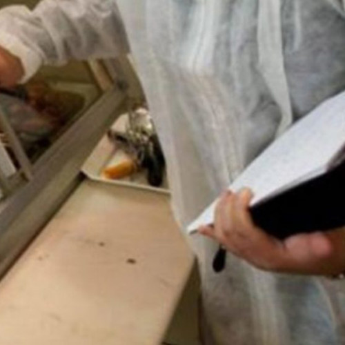 Amenzi de sute de mii lei pentru nereguli în domeniul siguranței alimentelor în Brăila