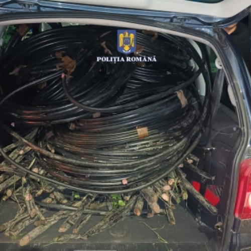 Tineri din Brăila reținuți pentru furt de conductori electrici