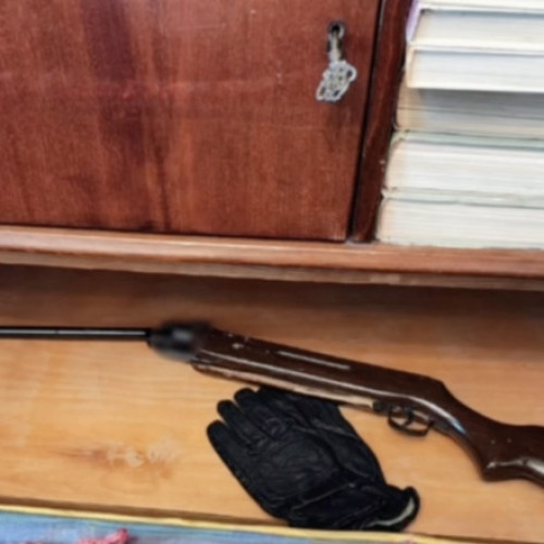 Percheziții la București într-un dosar cu arme și muniții