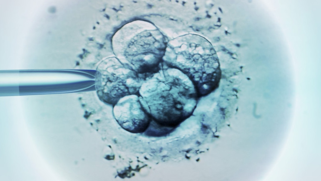 Ceasul biologic al bărbaților, legat de avorturile spontane în cazul fertilizării in vitro