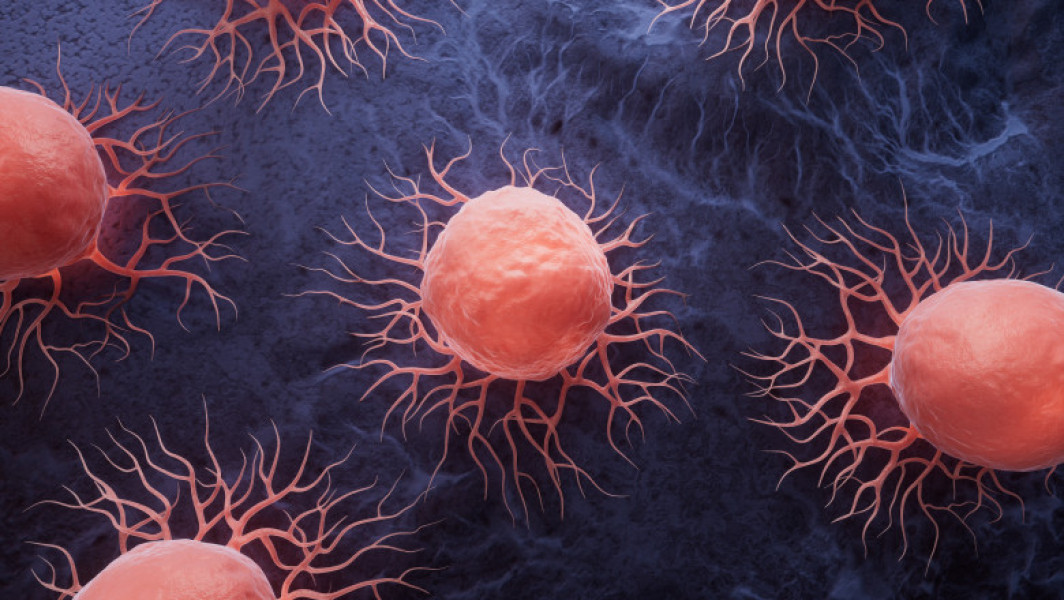 Mutația genetică „subtilă” care-i face pe oameni vulnerabili la cancer. Explicația cercetătorilor și comparația cu alte primate