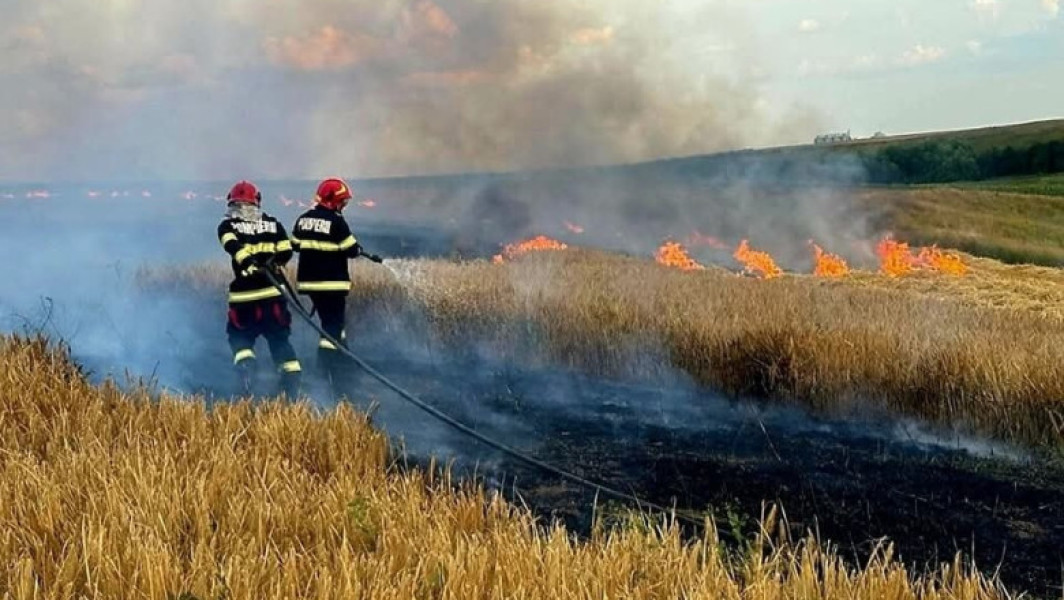 Video Alertă în Oltenia: 53 de incendii în decurs de 3 zile. Zeci de pompieri se luptă cu flăcările. 750 de hectare mistuite