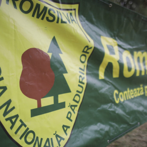 Sindicaliștii din silvicultură protestează la Guvern: „Reorganizarea Romsilva după un proiect făcut pe colţul mesei este o greşeală”