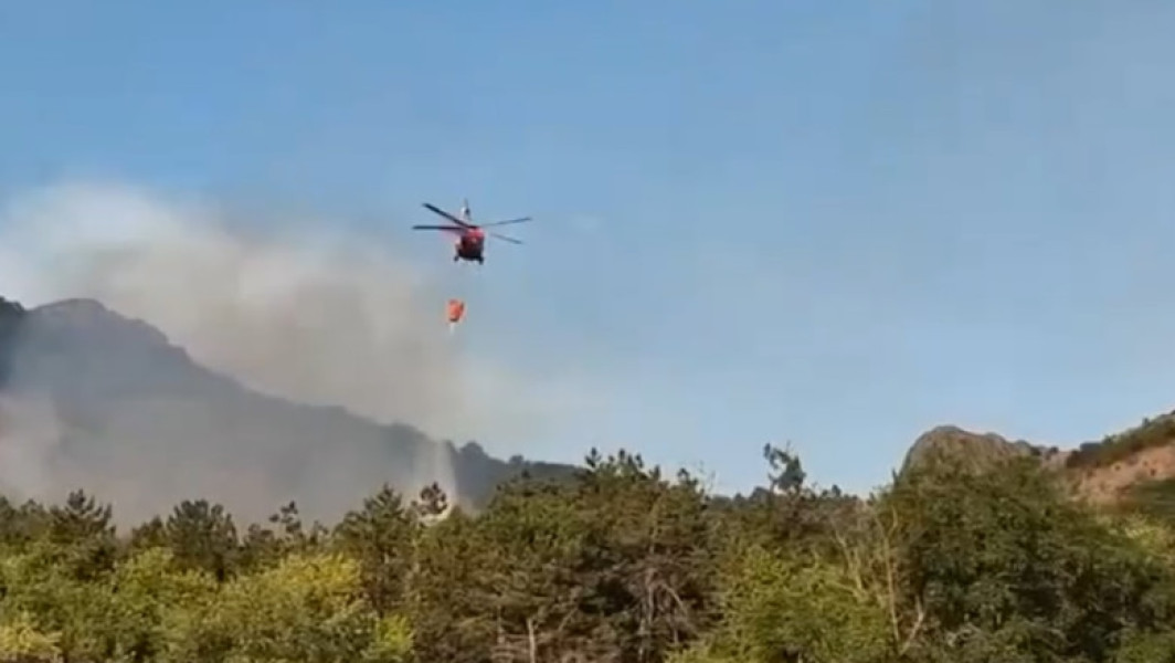 Video Incendiu de vegetație în județul Tulcea. Flăcări pe 6 hectare în zona Chilia Veche. Elicopter Black Hawk, trimis la intervenţie