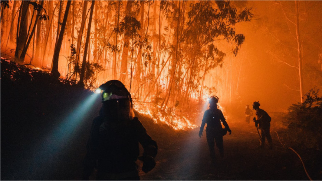 Incendiile de vegetație din Europa au fost agravate de depopularea satelor
