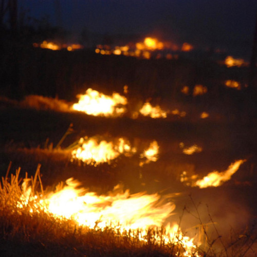 Incendii masive de vegetație în județul Brăila