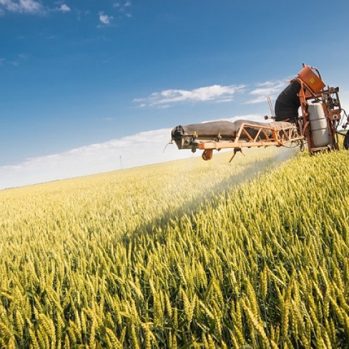 Brăila stabilește prețurile medii pentru produse agricole în 2026