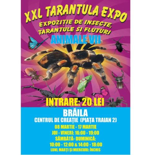 In Brăila se redeschide Expoziția de Insecte vii la Centrul de CreațieGazda pentru u