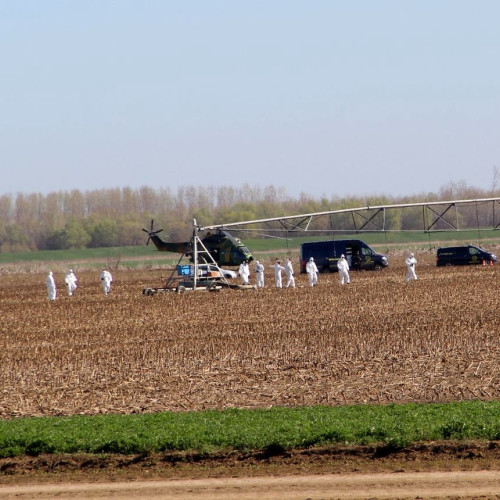 GALERIE FOTO Specialiști din domeniul apărării ”periază” terenul din Insula Mare unde a căzut o dronă