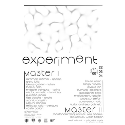 ”EXPERIMENT”, vernisaj la Centrul Cultural Nicăpetre