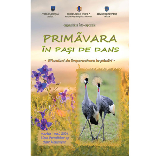 Inedit la Brăila: Fotoexpoziția „Primăvara, în pași de dans - ritualuri de împerechere la păsări”