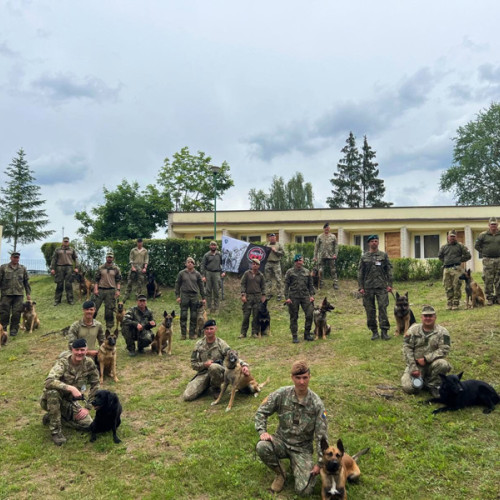 Militarii din Brigada 10 Geniu &quot;Dunărea de Jos&quot; au participat la exercițiul internațional EURETEX 24